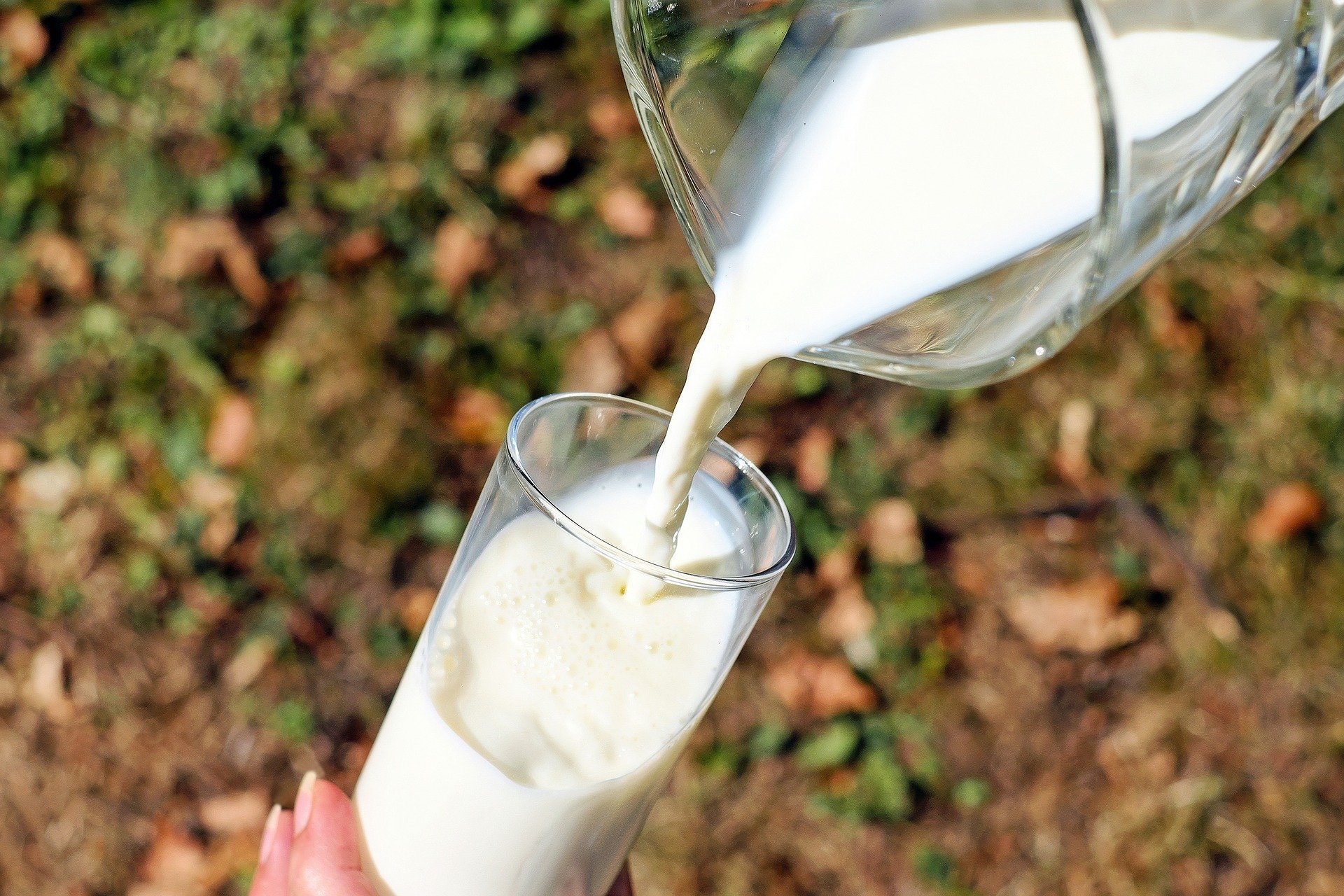 Cần chọn những loại sữa tươi có độ protein cao