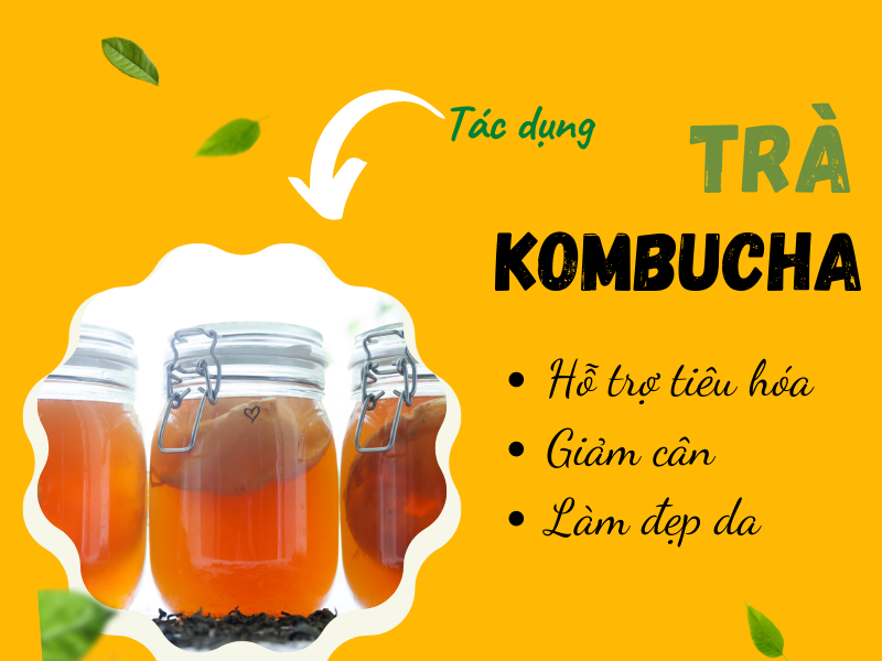 tác dụng của trà kombucha