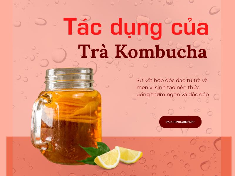 trà kombucha có tác dụng gì